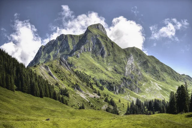 mountains, nature, tourism, hike, alpine, in the free, goal, switzerland, gantric, summer, alps, mountains, goal, goal, goal, goal, switzerland, switzerland, switzerland, switzerland, switzerland, alps, alps, alps, alps. Sådan vælger du analyseværktøj til din webshop